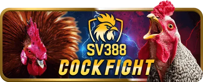 Hướng dẫn và mẹo chơi wi55